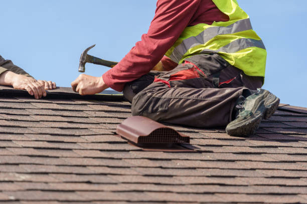 Best Gutter Installation and Roofing  in Electra, TX