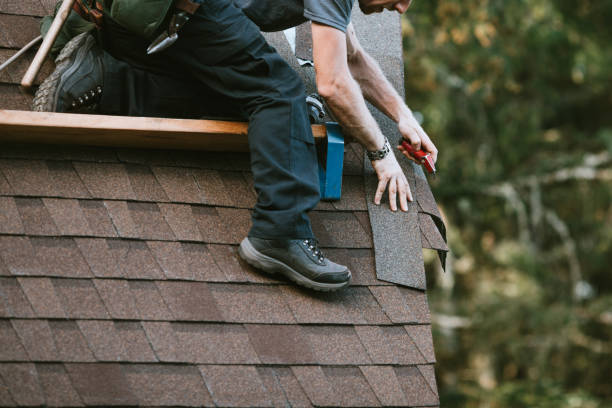 Roof Gutter Cleaning in Electra, TX